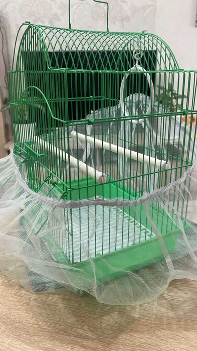 Клетку для птиц (попугаев,конареек)