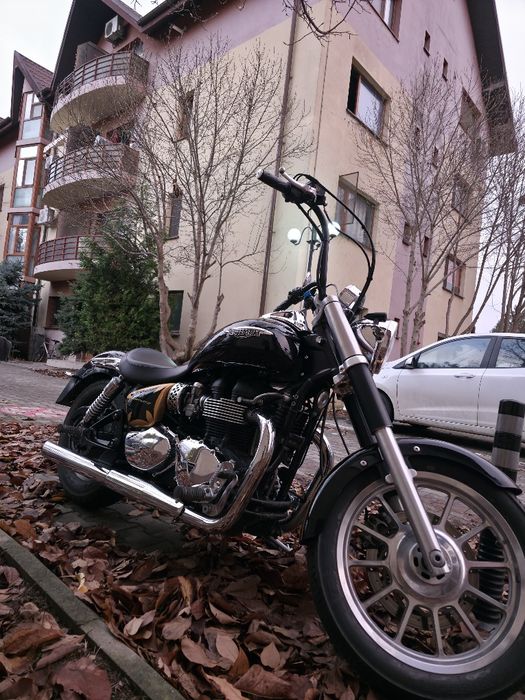 Triumph America 865 - 13.000 km Reali - Custom