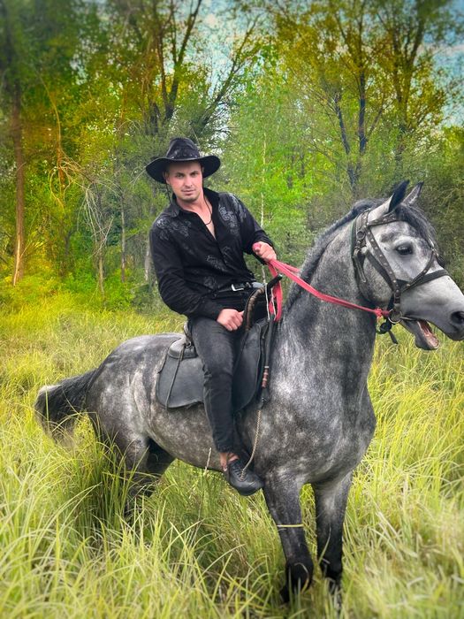 Орловский рысак для случки