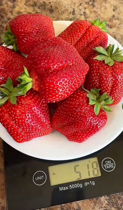 Предлагам страхотен расад ягоди и малини