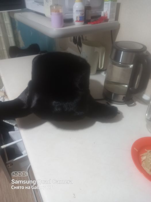 Продам Ушанку хорошом состояние