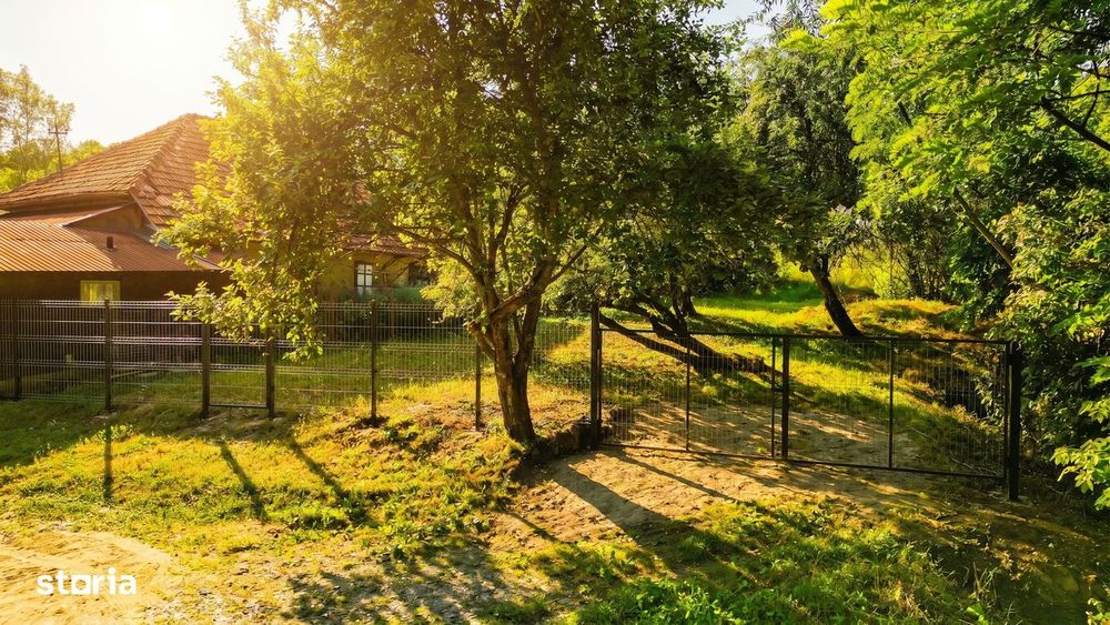 Teren de 11700 mp în mijlocul naturii la 2 ore de București
