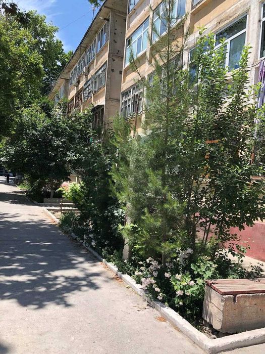 Уютная 2-комнатная квартира в кирпичном доме в центре Ферганы.