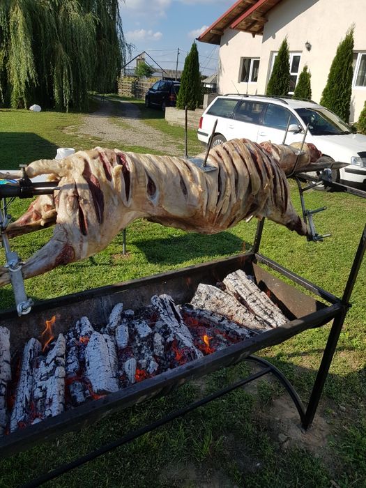 Vând/ închiriez rotisor protap electric