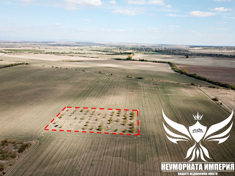 Продавам орехово градина 6650кв.м. в село Козаново