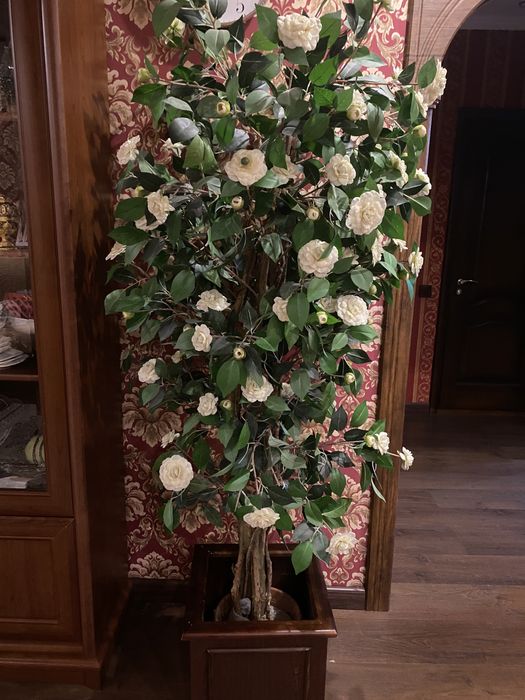 Декоративное дерево