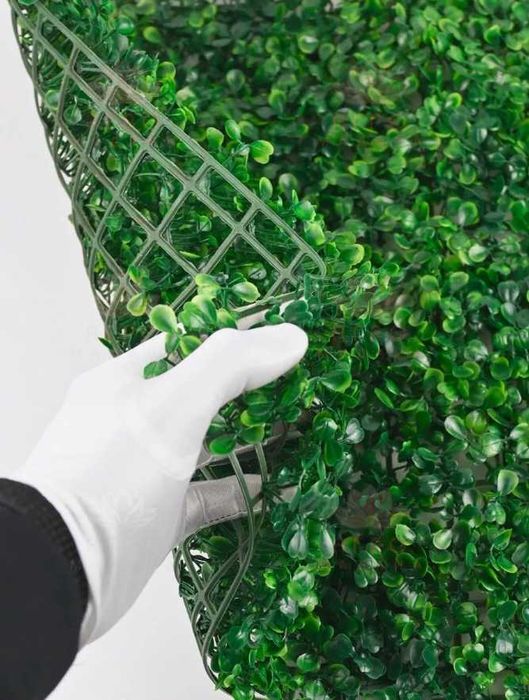 Искусственные фитостены — декоративное озеленение без хлопот