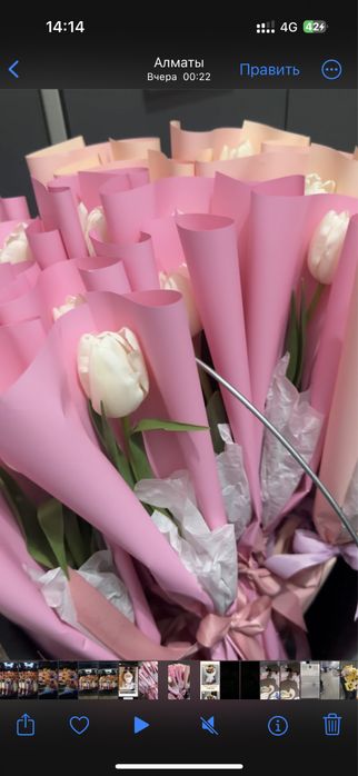 Тюльпаны на 8 марта