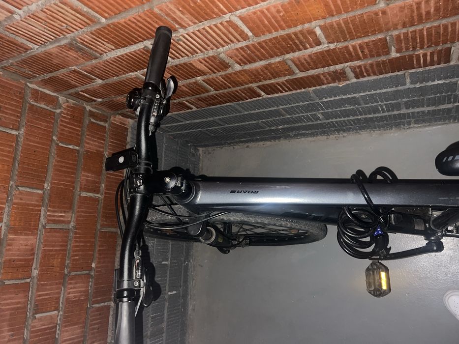 Giant в хорошем состояние гибрид