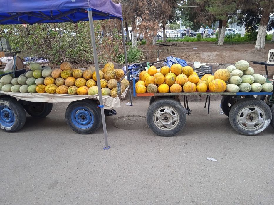 Shalanda arava sotiladi