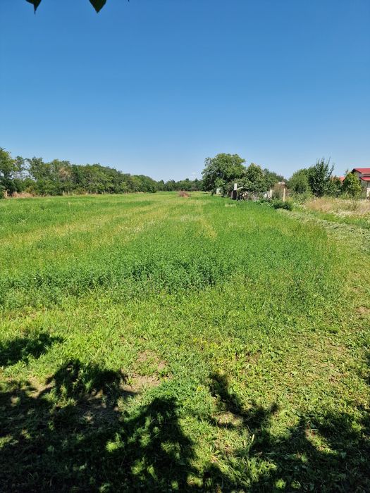 Teren Intravilan / Floresti Prahova  4500mp