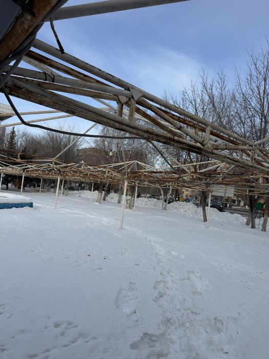 Шотры , трубы отдам дешего