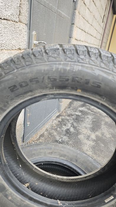 Qishki balon 205/65 r15