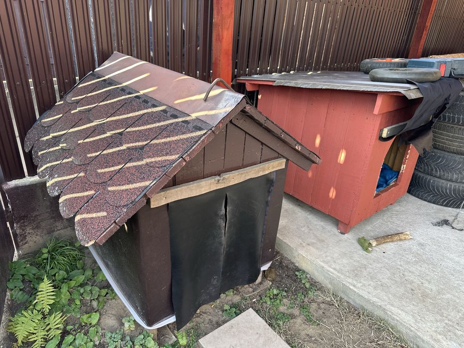 Cusca caine / cușcă câine