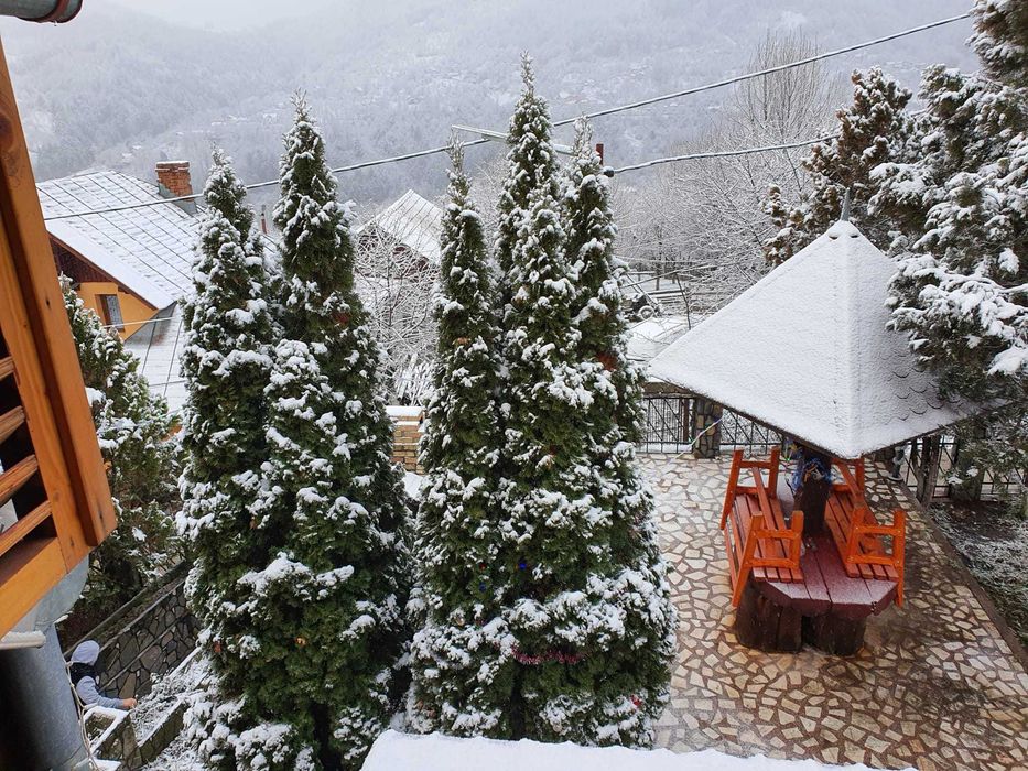 Vila case de vanzare in comarnic