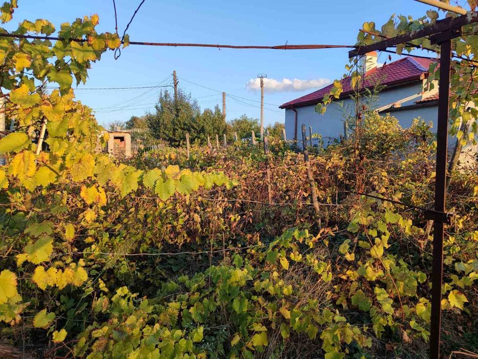 Продава се Къща в с. Стефаново, Област Добрич - 40 кв.м за 1059 €/кв.м - Снимка #9