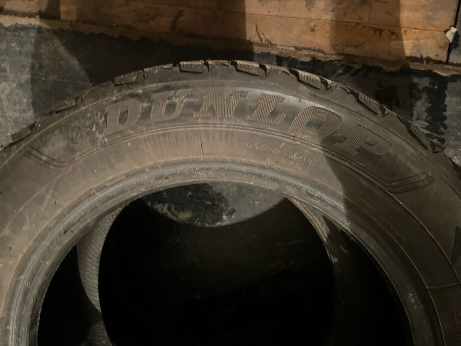 Продам ризину зима на 15