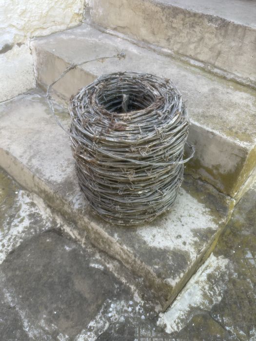 Поцинкована бодлива тел