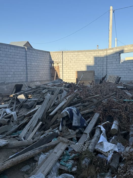 Агаш бесплатно тегин ,