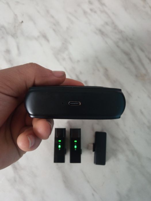 Wireless  Green lion