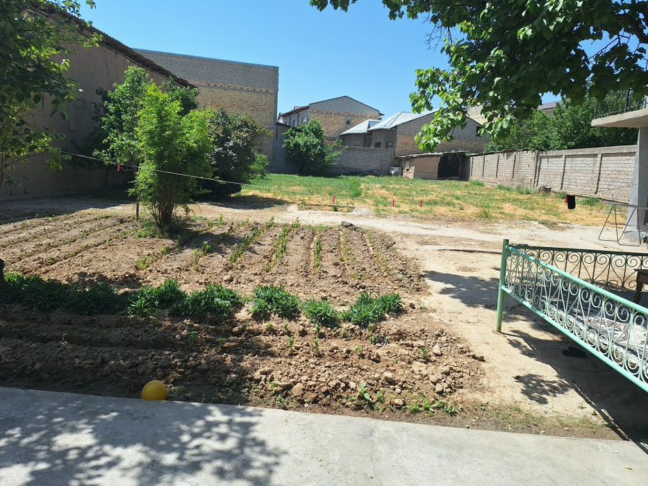 Юнусобод тумани Хасанбойда Зенит ни оркасиди махалла