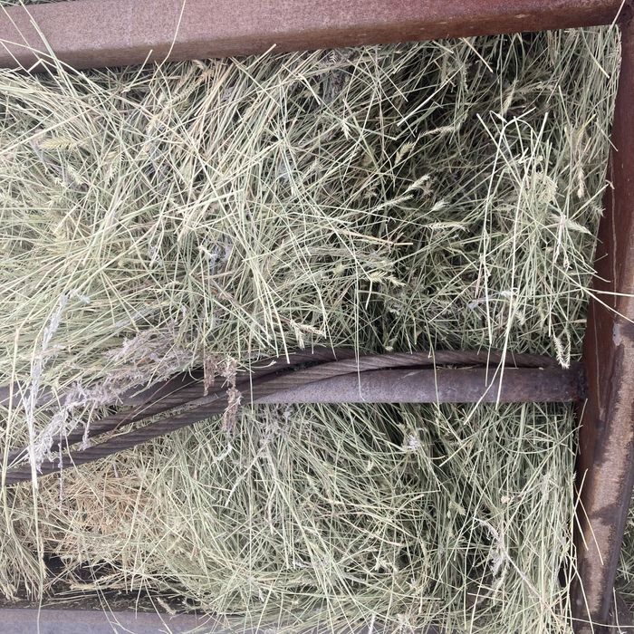 Продаю сено рулоны тюки