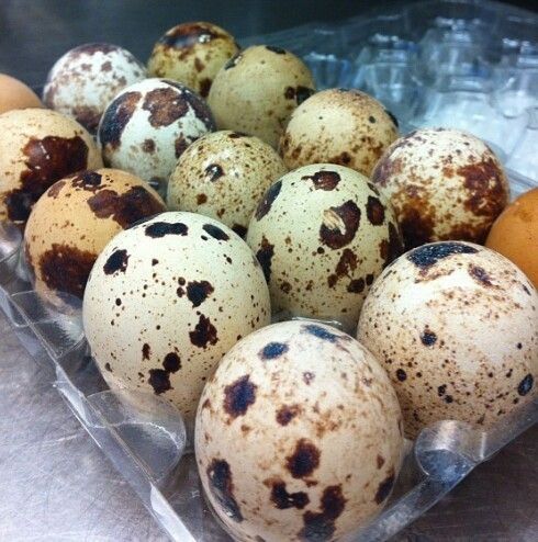 Свежие яйца, без химии