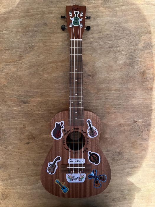 Укулеле Flight в отличром состаяние , новый