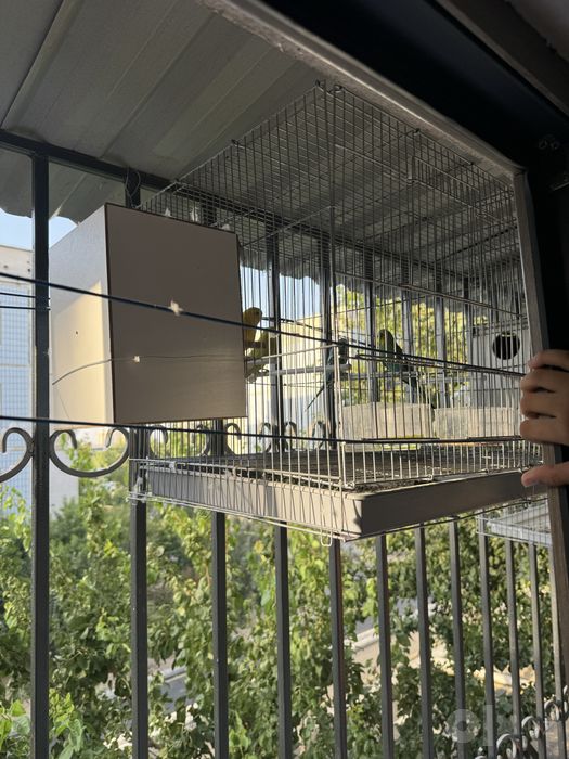 Turilar sotaman 2 para