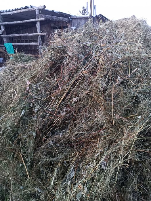 Продам сено  в рулонах