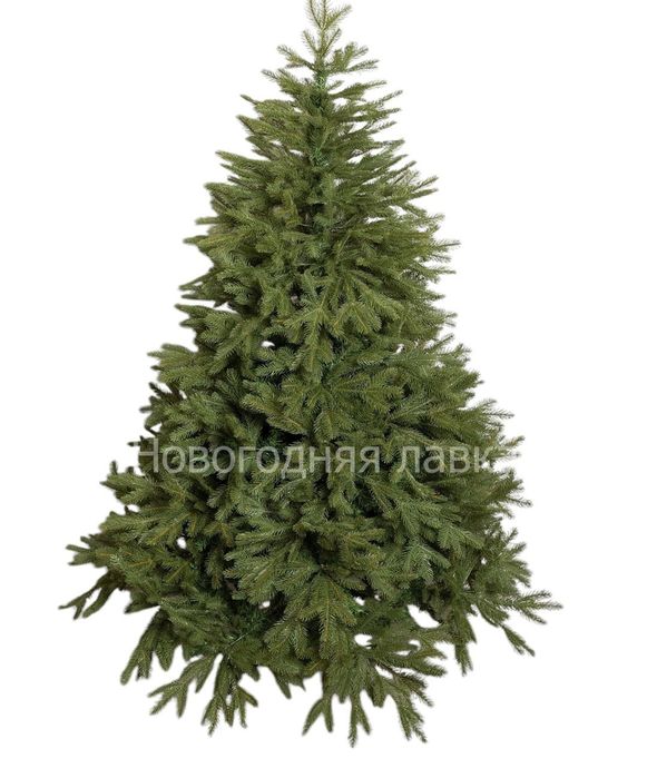 Продается елка под живую, в илеальном состоянии