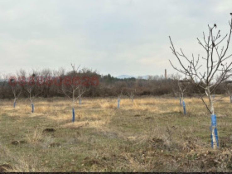 Продава се Земеделски имот в Перущица -  кв.м за 4857 €/дка - Снимка #4