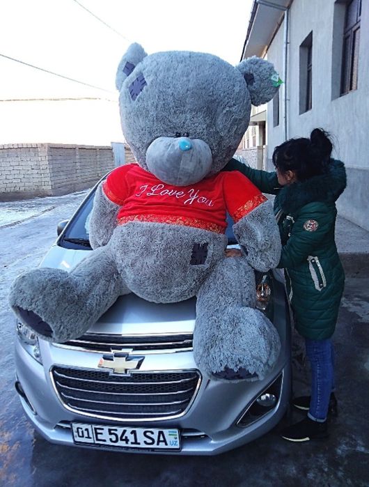 Teddi teddy ayiq miyahki original