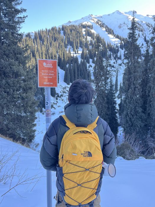 Сумка the north face