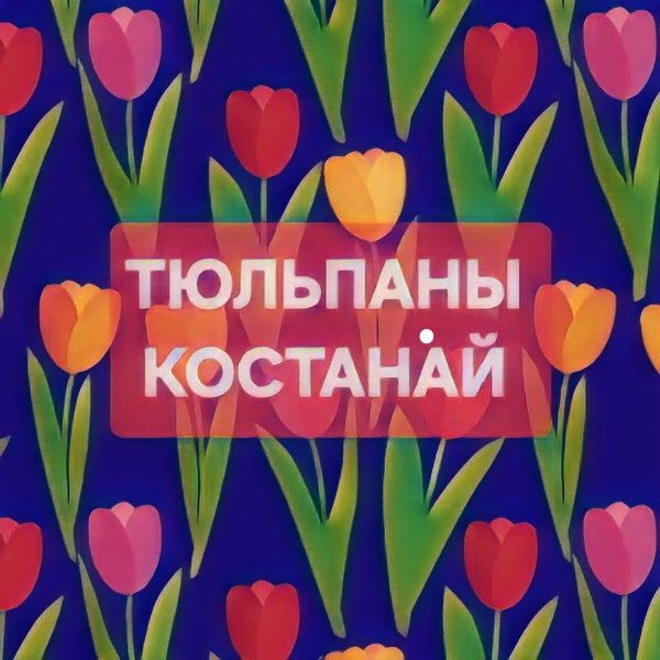 Тюльпаны оптом Голландские