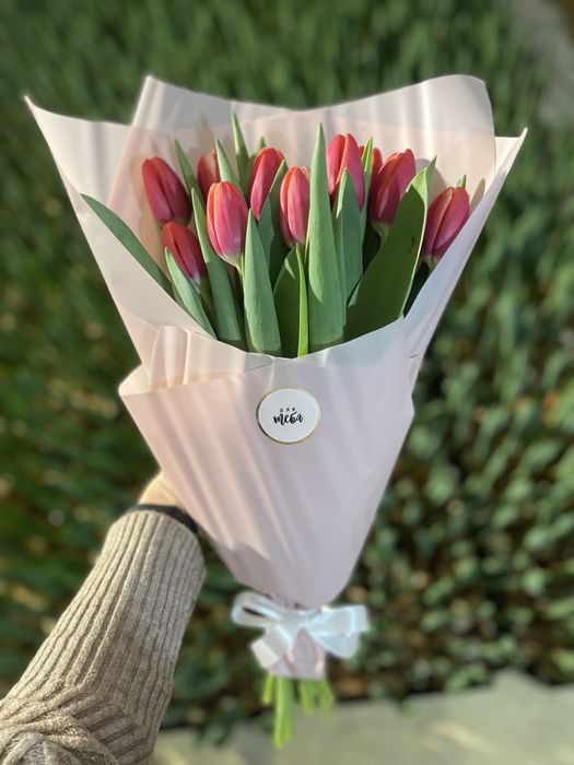 тюльпаны оптом и в розницу