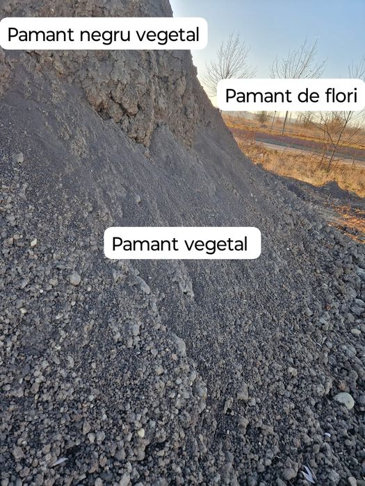 Pamant negru.Pamant vegetal