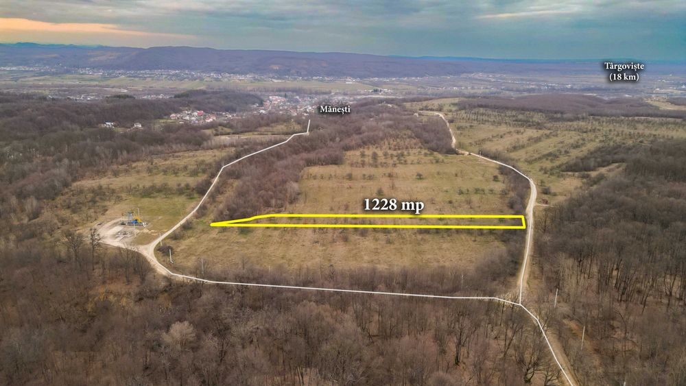 Teren 1228 mp între păduri - o oază de liniște la 20 km de Târgoviște