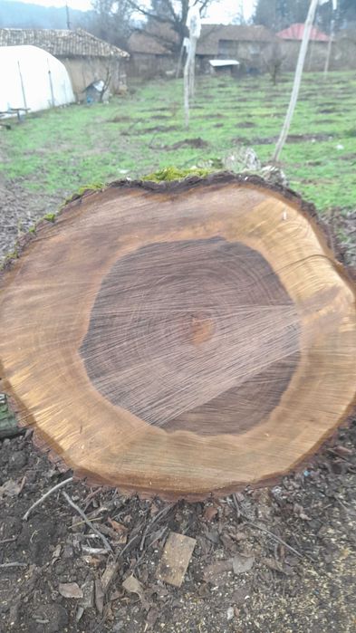 Орехови трупи - ствол и клони