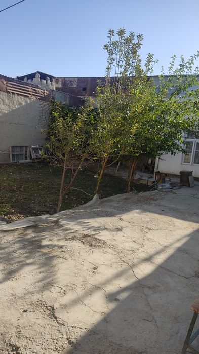 Moxi xosada uchastka sotiladi.