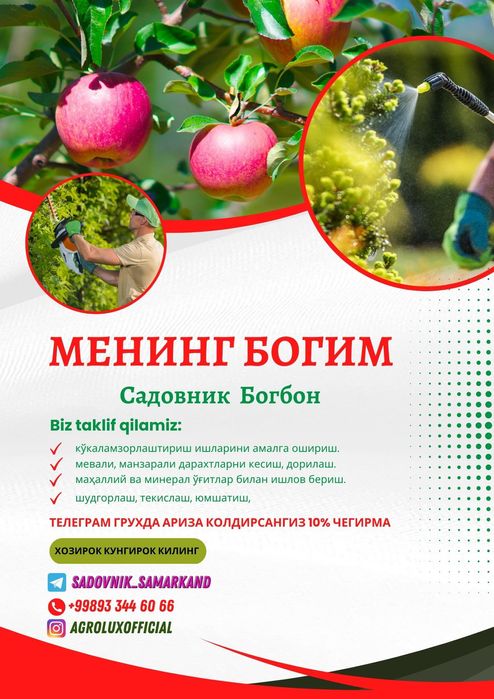 Bio gumus  hosildorligingiz garovi