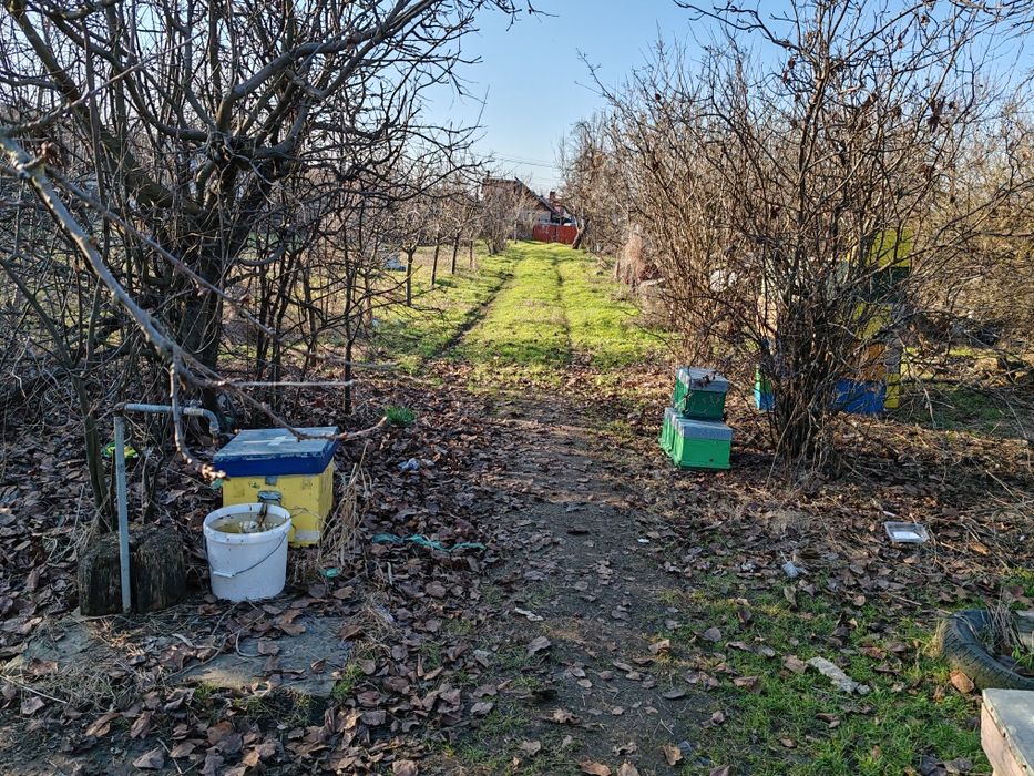 Casă vânzare, lângă baltă, Fulga de Sus - View 6