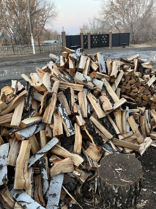 Берёза Колотая Сухая