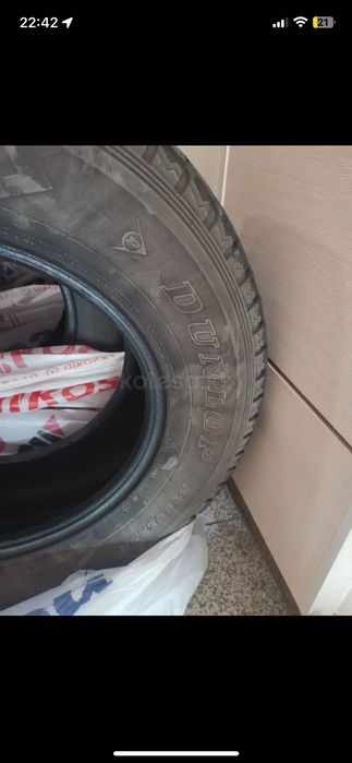 Зимние шины Dunlop