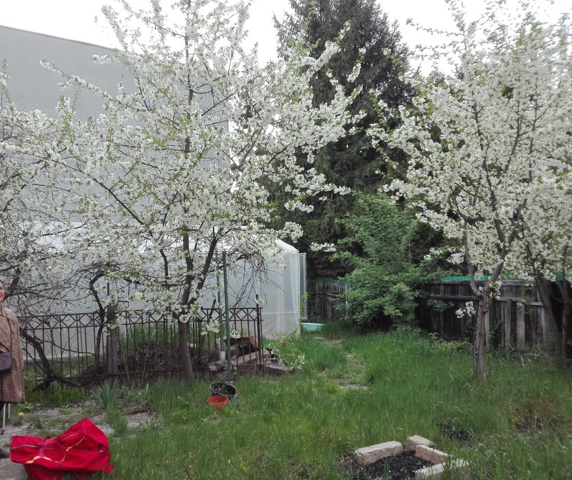 Casă și teren generos de 483 mp , zona str. Traian