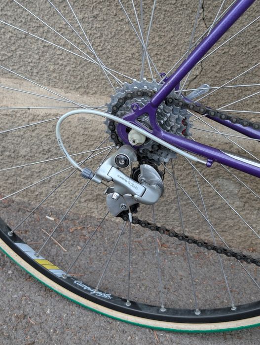 Cursiera Enik Shimano compagnolo