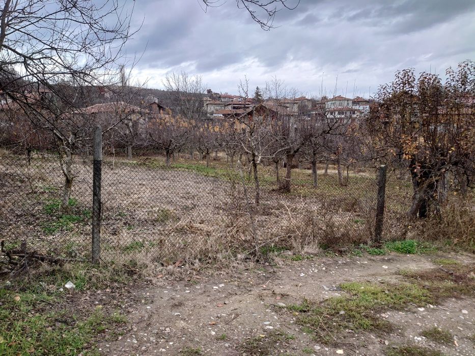 Продава се Парцел в с. Селище, Област Благоевград - 1670 кв.м за 27 €/кв.м - Снимка #1