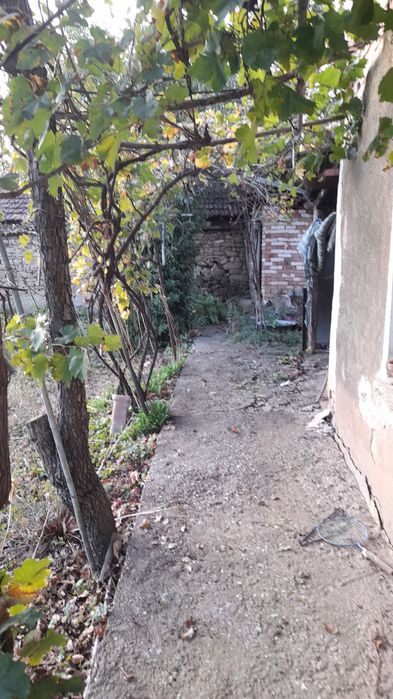 Продава се Къща в с. Михалци, Област Велико Търново - 800 кв.м за 26 €/кв.м - Снимка #2