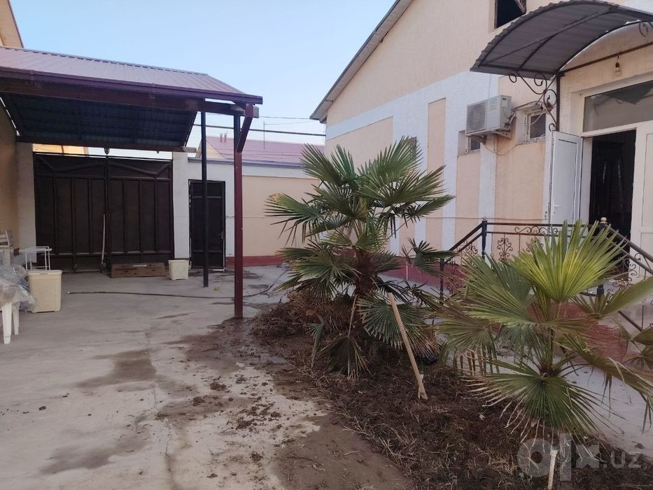 6 sotixli katej ijaraga beriladi Aeraport ILG'OR