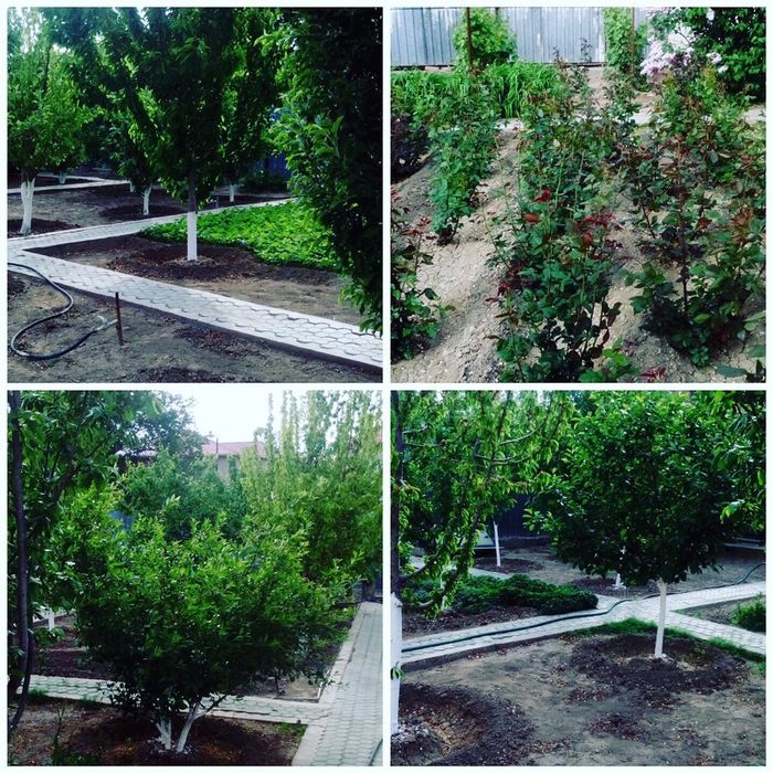 Срочная продажа дома